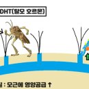 망포드림약국 이미지