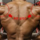 리버스클린