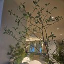 엔제리너스 수유역 이미지