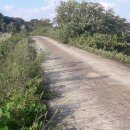 금가면사무소 이미지