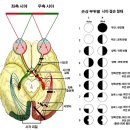용화일침한의원 이미지