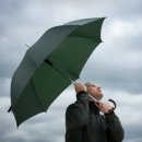 우산정보 이미지