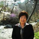 산소미인 - 진주시 | 산소미인