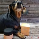 가람덴탈 | 퓨어메라 라온덴탈 강아지 치석제거