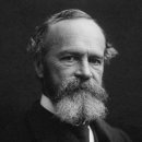 확신의 덫 이미지