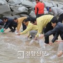 탄도만낙지