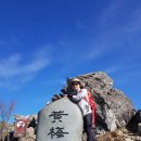 2월 12일(토) 산청 황매산 & 함양 황석산 1일 2산 산행 이미지