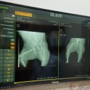 우리들동물종합병원 이미지