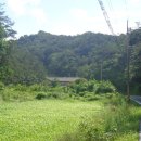 한반도면-2 이미지