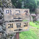 1284 이미지