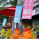 시선디자인 - 목포시 | 시선디자인