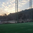 새미스포렉스 이미지