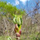 돌다리 농장 이미지