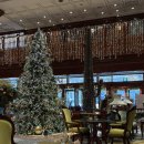 나이스 팰리스 | 강남 에프터눈티 데이트 : 임피리얼팰리스서울 강남 카페 델마르 하이티세트