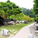 마포경찰서 교통센터 앞 이미지
