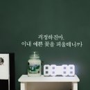 방에 레터링 시트지 붙였는데 졸라 맘에듬 이미지