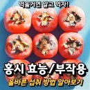 홍시 이미지