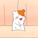 모던 데이즈 이미지