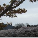 산인초등학교 이미지