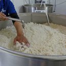 수목막걸리 이미지