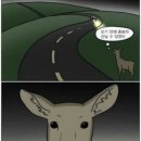 OCI 홀딩스 가꼬 있는 여시들 있나..? 이미지
