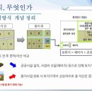 진선약국 이미지