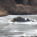 원시로1 이미지