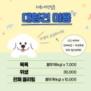 유얼도그 | 대형견 미용 가격, 클리핑+얼컷 스타일 얼마나 드나요?