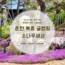 바위와소나무 | 춘천 글램핑 / 춘천 캠핑장 추천! ‘소나무세상’에서 즐긴 완벽한 춘천 가족여행 후기
