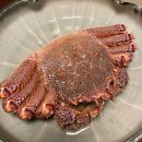 M.Park 9 (8관) | 🌆 [홋카이도 가족여행 9편] 오도리공원 &amp; 빙설의 문｜삿포로 도심의 밤, 털게 만찬 이야기 🦀