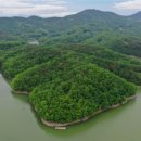 치유의 숲 이미지