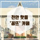 브레드 꽁뜨 | [인생샷 SSAP 가능한 천안 성성호수공원 근처 카페] 꽁뜨 내돈내먹 후기