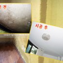곰팡이헌터 이미지