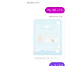 뜨고짜고성륜상회구 | 3박 4일 제주도 한 바퀴 2일차 | 동쪽~남쪽, 오브젝트 제주, 태웃개, 롤롤, 서귀포올레시장, 섬스튜디오
