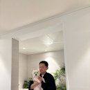 본마을4길 6 | 전주애견동반숙소 고민 끝, 메종드온유 강아지 두 마리와 함께한 전주한옥마을호텔