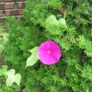 메꽃어린이집 이미지