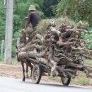 소들농장 이미지