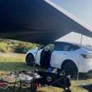 마인드애플정신건강의학과의원 | 캐모마일차 불안한 떨림 효능