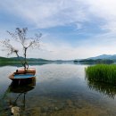 진기농장 이미지