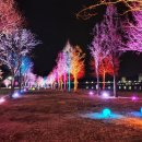 정양레포츠공원 오토캠핑장 이미지