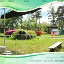 솔치팬션 이미지