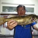 삼영자동차공업사 이미지