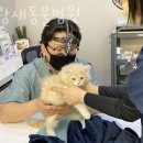 파랑새동물병원 이미지