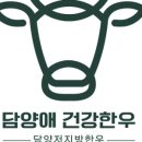 담양애 건강한우