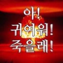무양반려동물병원 이미지
