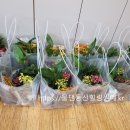 감만지역아동센터 이미지