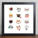 도그앤박스 이미지