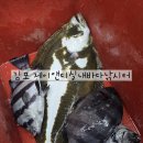 제이앤디 | 제이앤디 실내바다낚시터 김포 양촌 실내낚시터