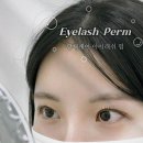 속눈썹전문 리반타 안산점