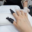 돋보이 개 | Always beauty 올웨이즈 뷰티